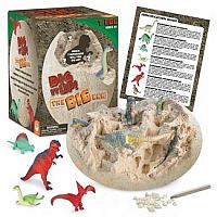 Dig It Up! The Big Egg Dinosaurs